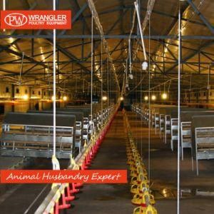 24 Hole/20 Hole Manual Eggs Nest Box for Chicken House