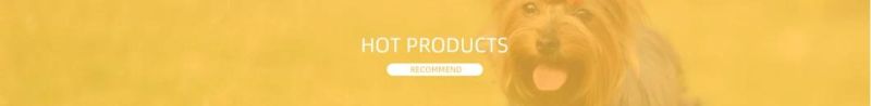 Pet Cat Dog Cutter Hair Trimmer Dog Grooming Kit Rechargeable Electrical Animal Pet Clipper Shaver Pet Cat Dog Clean