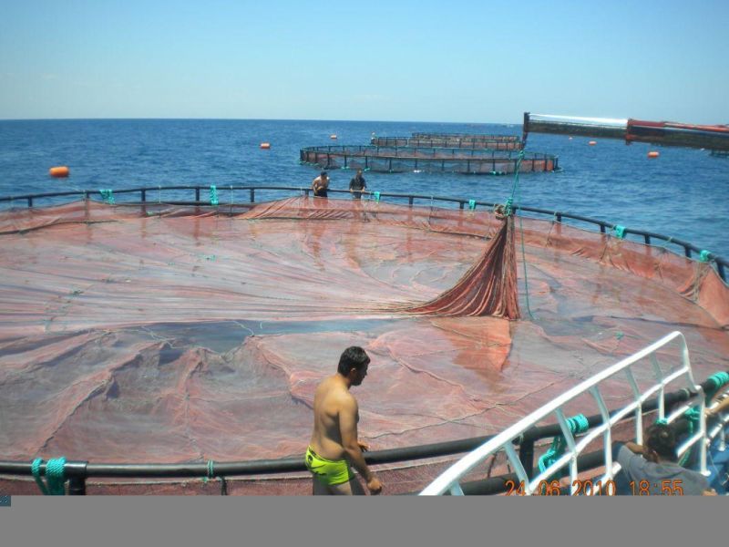 HDPE Floating Fish Aquaculture Cage in Africa with Seine