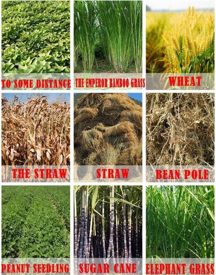 Poultry Farm Machinery Straw Chopper Silage Grass Cutting Chaff Cutter Machine