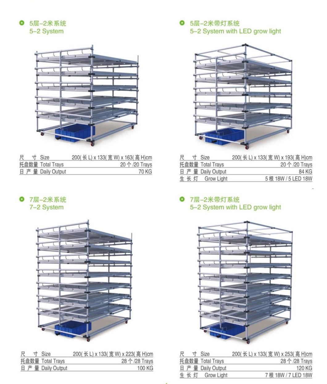 Microgreen System Green Forage Hydroponic Fodder Growing System Cultivation