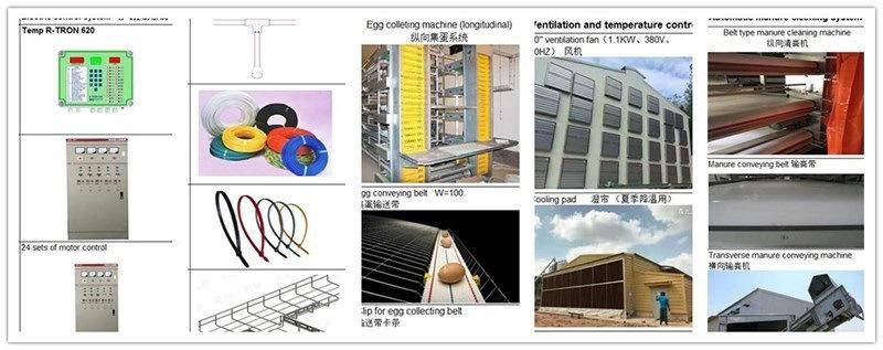 Professiona Design Egg Production Project Poultry Farming Equipment H/a Type Layer Chicken Cage