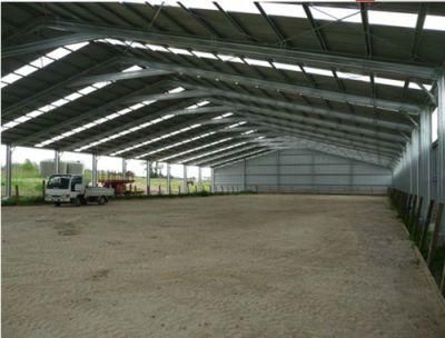 Prefab Steel Structure Horse Arena