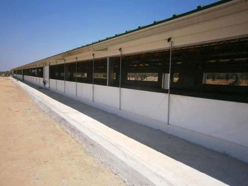 Pig Farm Turnkey Project Design and Equipment