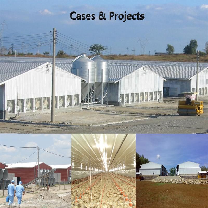 Farming Chicken Poultry Transport Cage Plastic Layer Box Egg Layer