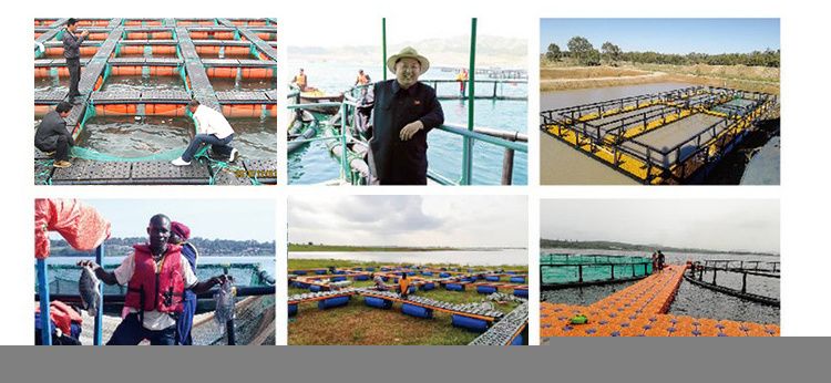 HDPE Frame Pipes Floating Fish Net Cage for Aquaculture