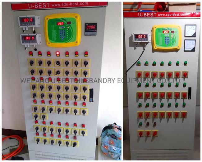 China U-Best Automatic Poultry Farming Feeding System Feeder Equipment for Broiler Chicken