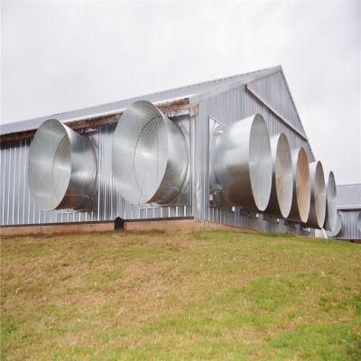 Quickly Built Prefabricated High Technical Quality Automatic Chicken Farm