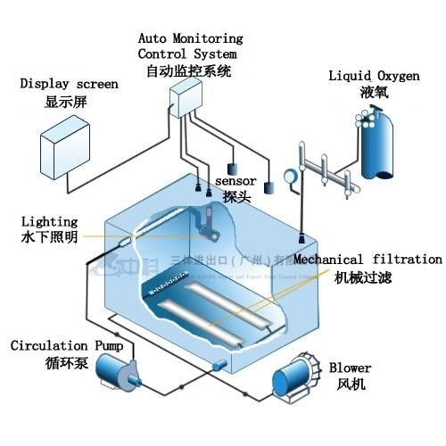 Modern Recirculating Aquaculture System Oyster Mussel Live Fish Transport Tanks