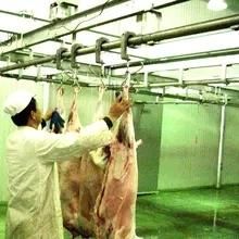SGS Halal Sheep Slaughter Equipment Goat Mutton Slaughterhouse Machinery