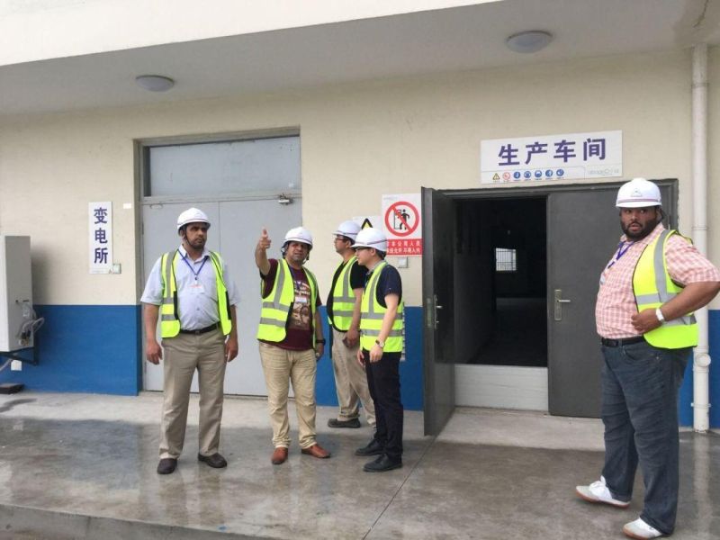 1ton Per Hour Fish Feed Processing Line Machine, Dog Shape Pet Food Extruder as Extrusion Pellet Machine, One of Main Fish Farm Feed Equipment