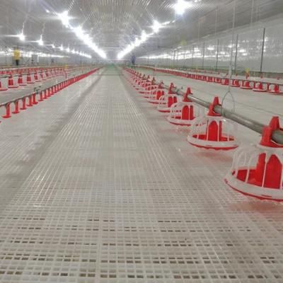 Pure Material Plastic Slat Floor for Broiler Chicken