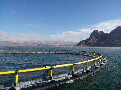 HDPE Floating Cage Aquaculture for Deep Water Barramundi Culture