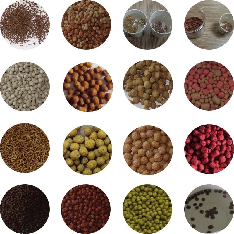 Factory Price Aquarium Feed Pellet Extruder  Feed Fish Floating Pellet Machine Dry Type Production Line