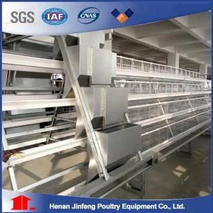 Automatic Low Price Best Selling Poultry Feeding Equipments for Chicken