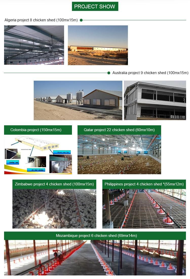 High Quality Prefab Chicken House Poultry Farm Equipment in Bangladesh