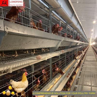 Comprehensive Solution for Farming Longfeng China Chicken Cage Livestock Machinery Farm Poultry Equipment