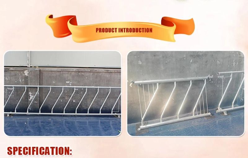 Cattle Farm Machinery Equipment Cow Free Stall