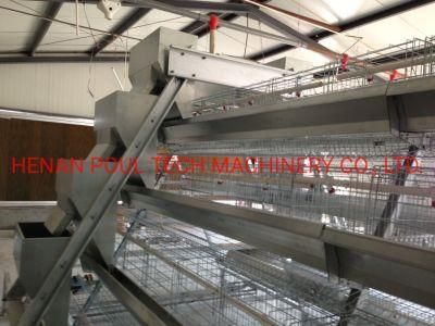 A Type Layer Cage Raising Equipment for 35000 Birds Layer Project