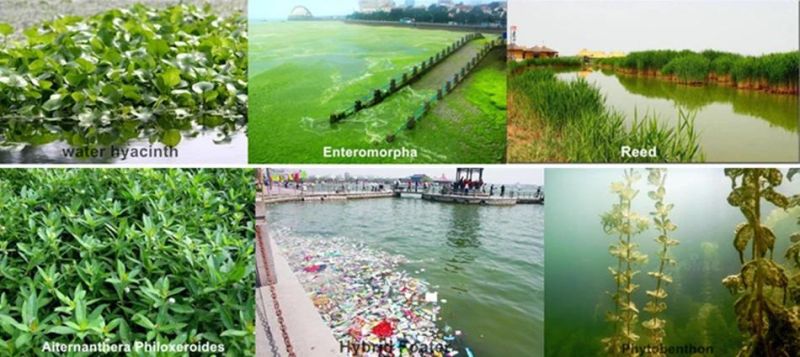 Aquatic Seaweed Water Hyacinth Weed Harvester for River Clean