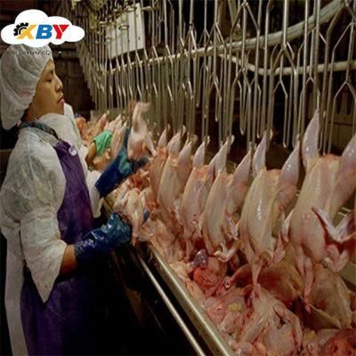 Chicken Slaughter Equipment/Chicken Slaughtering Production Line/Poultry Slaughtering Equipment
