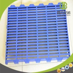 Pig Plastic Floor 600*600mm High Quality Popular in Pig Farm