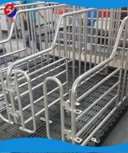 Galvanizing Steel Pig Farrowing Crate Gestation Stall Pig Nursery Crate/ Livestock Machine