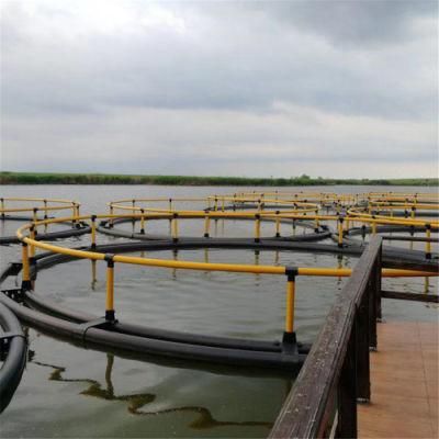 Circular Aquaculture Anti -UV Fish Farming Net Cage Floating Cage