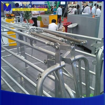 Factory Price Pig Farm Galvanized Fatten Stall