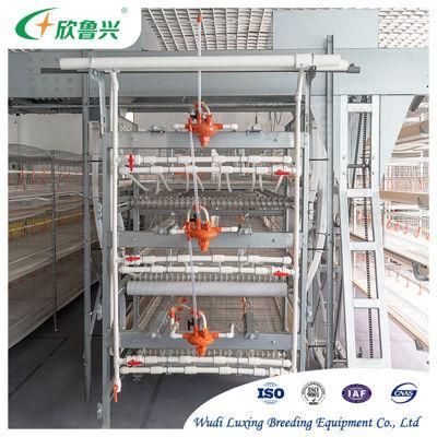 Poultry Farming Rearing Chicken Cage for Burma Layer Hen House