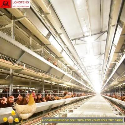 Automatic Chicken Farming Equipment 1 Year Warranty Layer Poultry Cage