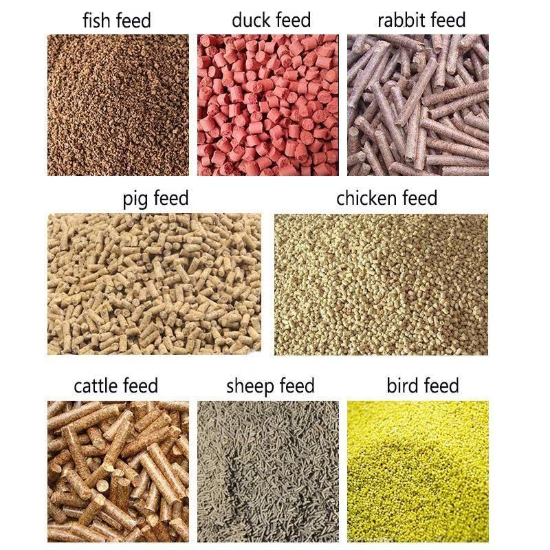 Animal Poultry Cattle Sheep Chicken Fish Feed Pellet Making Machine