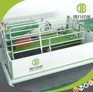 High Survival Rate Used Farrowing Crates Durable Farrowing Crate