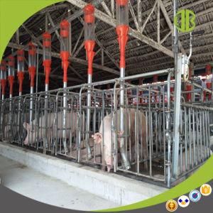 Pig Farm Equipment Chain Disc Feeding System for Finishing Pig
