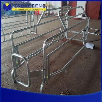 Modern Farm Factory Price Complete Pig Sow Pens for Pig Farm Gestation Crates