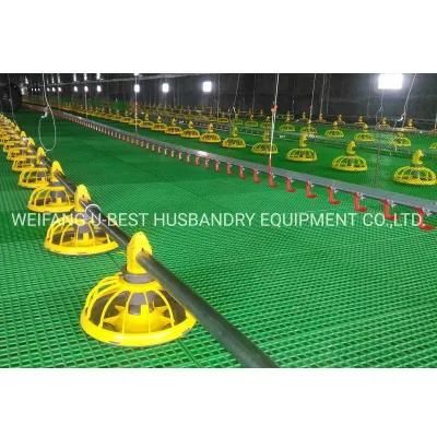 China New Design Poultry House Equipment Automatic Chicken Farm