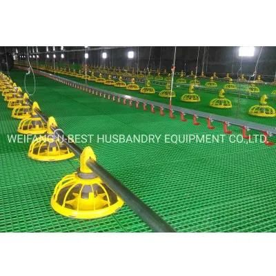 China New Design Poultry House Equipment Automatic Chicken Farm