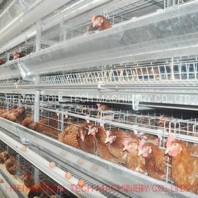 Good Quality Poultry Farm Equipment Layer Chicken Cage