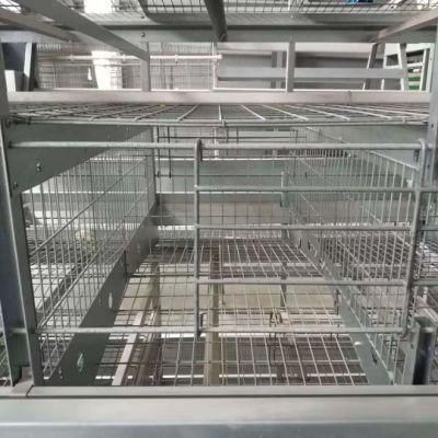 Best-Selling Type a Chicken Poultry Raising Equipment