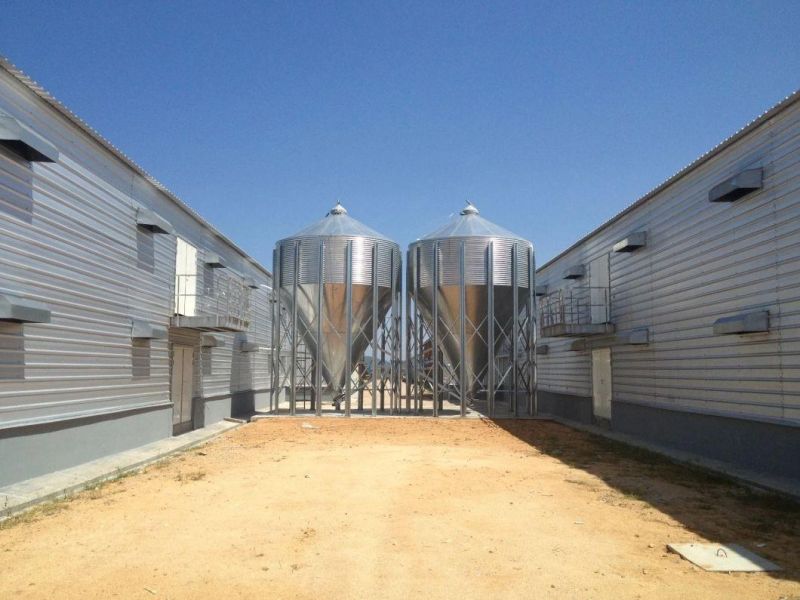 Galvanized Feed Bins or Feed Tower for Pig Farm Project Grain Storage Silo