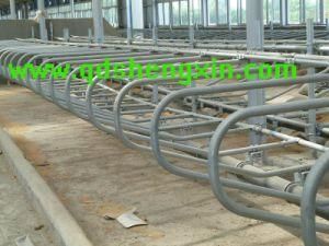 Factory Made Dairy Farm Cow Comfortable Free Stall