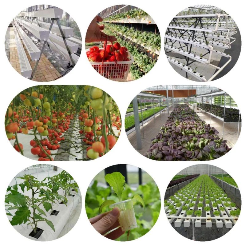Advanced Automatic Seeds Sowing Machinery for Greenhouse/Farm Seeding for Vegetables/Flowers