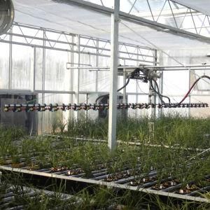 Drip Irrigation System for Horticultural Glass Greenhouse