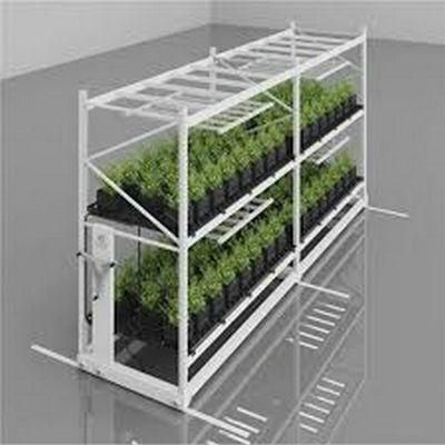 Mobile Storage System Nursery Flower Two Tiers 4X6 Feet Grow Rack Rolling Bench Vertical Farming