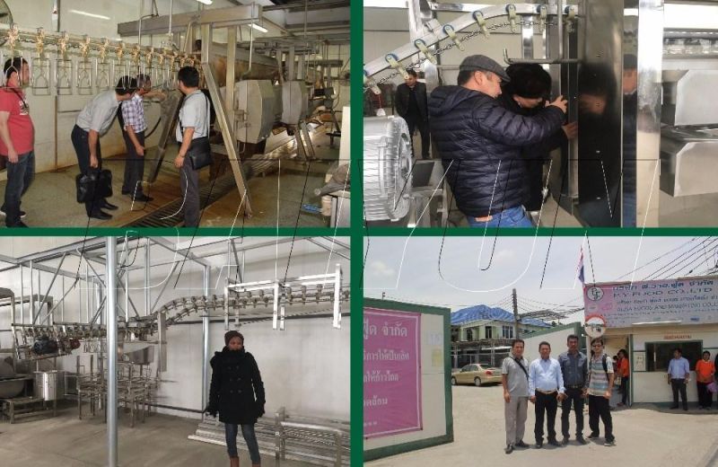 Poultry Chicken Slaughtering Processing Plucking Machine