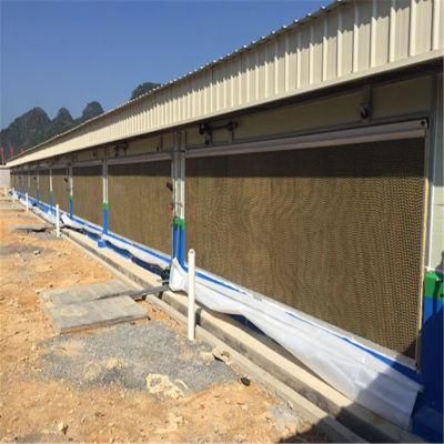 High Quality Factory Price Steel Structure Chicken Farm Equipment