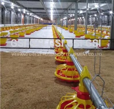 Automatic Poultry Chicken Broiler Flooring Ground Feeding Equipment