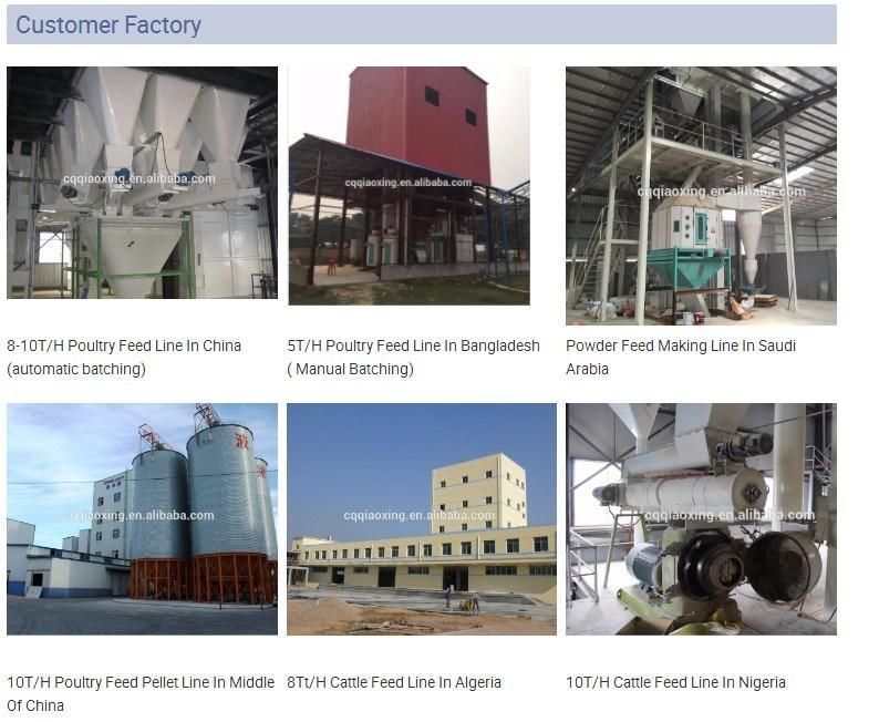 1-20t/H Stainless Steel Chicken Livestock Cattle Pig Fish Poultry Feed Pellet Making Machine Fish Food Processing Line