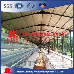 Hot DIP Galvanized a Type Poultry Layer Chicken Cage for Sale