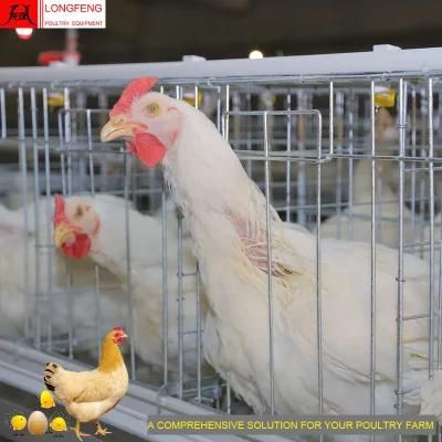 90 Birds, 120birds, 160birds Poultry Farm Layer Cages Chicken Egg Laying Cage Factory 9Ltd390/3120/4120/4160